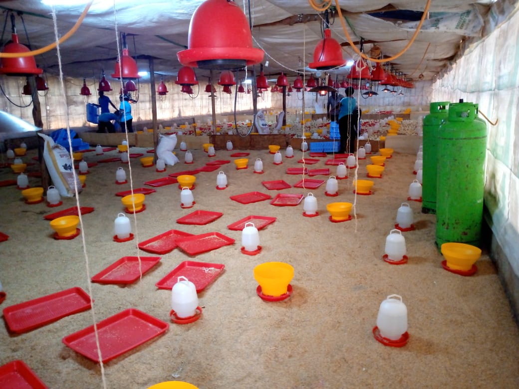 Farm operations